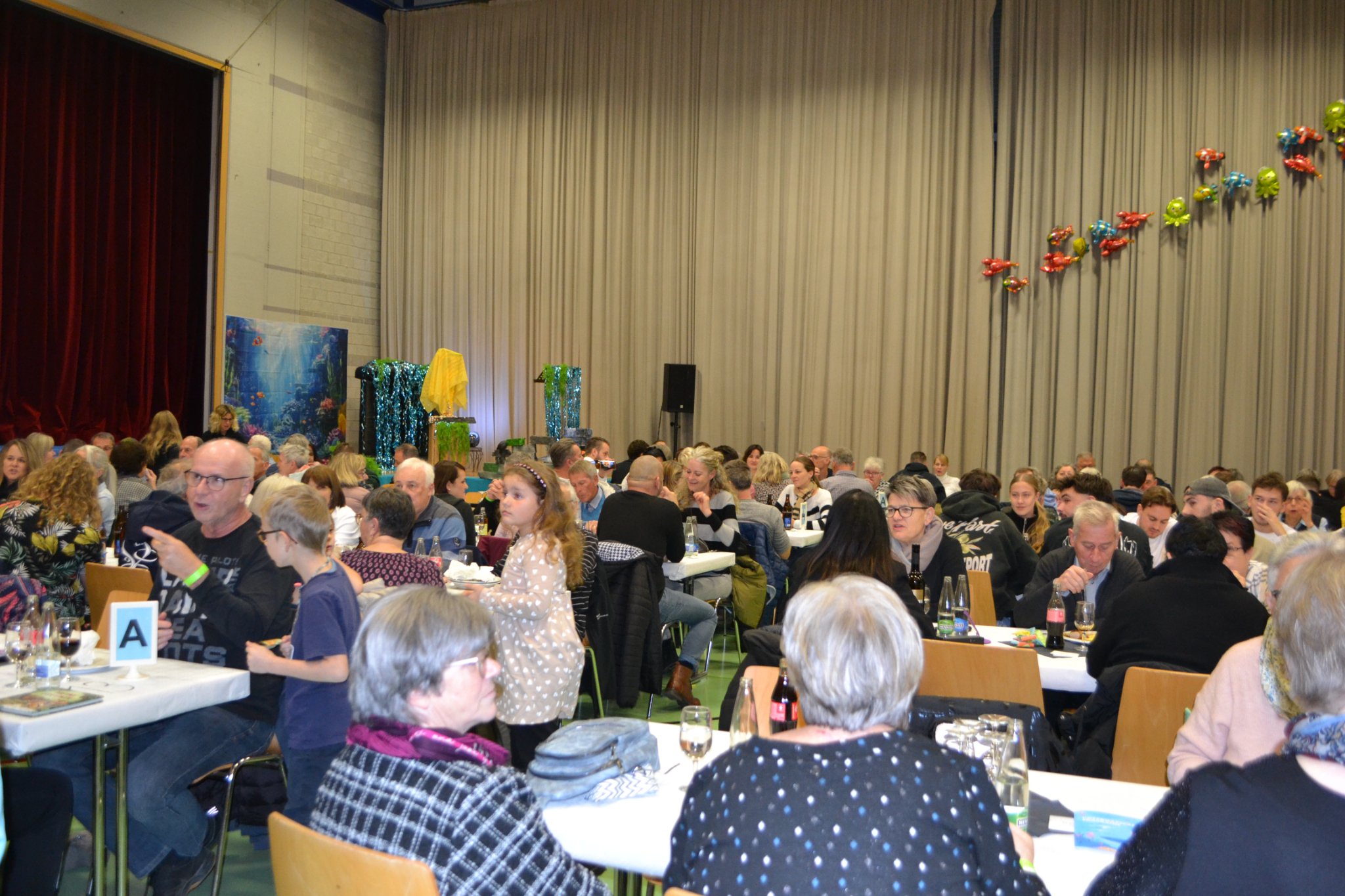 Bild4 (7)